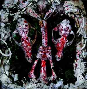 Instinct  - An Auroral Gathering Of Skulls