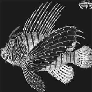 Various - Strange Fish Two