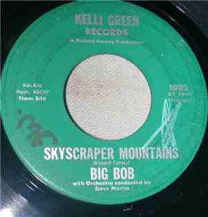 Big Bob - Skyscraper Mountains / Got No Money, Got No Love
