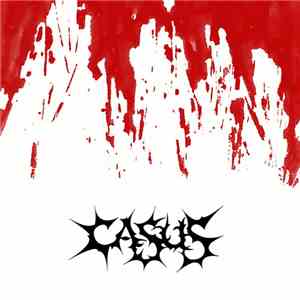 Casus  - Demo 2009