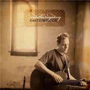 David Wilcox - Into The Mystery
