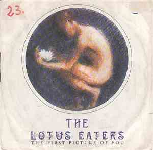 The Lotus Eaters - The First Picture Of You