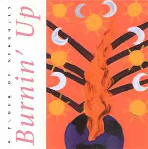 A Flock Of Seagulls - Burnin' Up