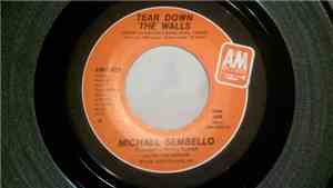 Michael Sembello - Tear Down The Walls
