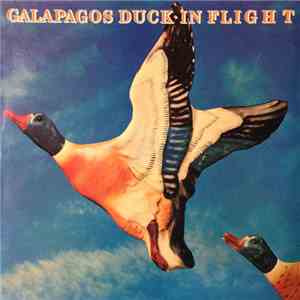 The Galapagos Duck - In Flight
