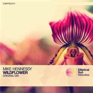Mike Hennessy - Wildflower