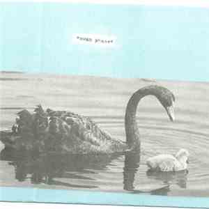 Nesey Gallons - Swan Phase