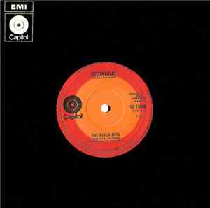 The Beach Boys - Cottonfields
