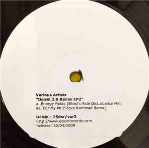 Various - Delsin 2.0 Remix EP 2