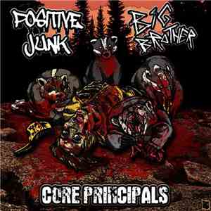 Big Brother  / Positive Junk - Core Principals