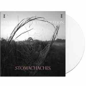 frnkiero andthe cellabration. - .Stomachaches.