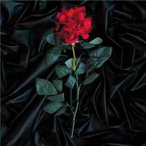 Girlfriends and Boyfriends - Our Garden