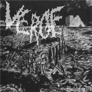 Verge  - Hatemagic