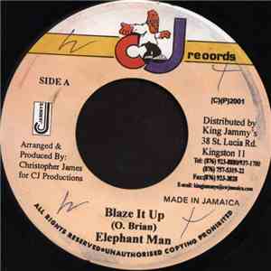 Elephant Man - Blaze It Up