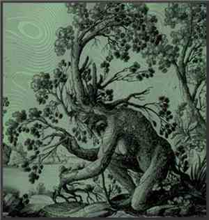 Lungrot - Fangorn (The Burning Question)