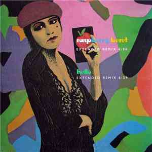 Prince And The Revolution - Raspberry Beret (Extended Remix) / Hello (Exten ...