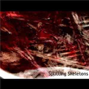 Voi.xce - Splitting Skeletons