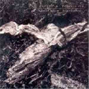 David Sylvian + Holger Czukay - Plight & Premonition