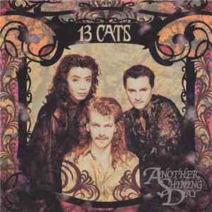 13 Cats - Another Shining Day