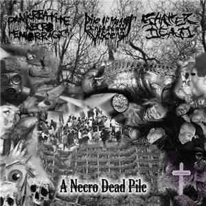 Pankreatite Necro Hemorrágica / Pile Of Maggot Infested Viscera / Shatter D ...