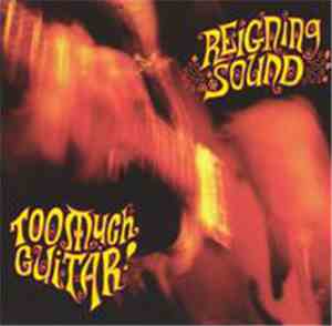 Reigning Sound - Too Much Guitar