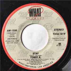 Tonio K. - Stay