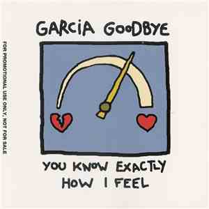 Garcia Goodbye - You Know Exactly How I Feel