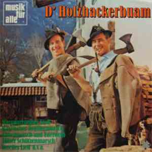 Various - D' Holzhackerbuam
