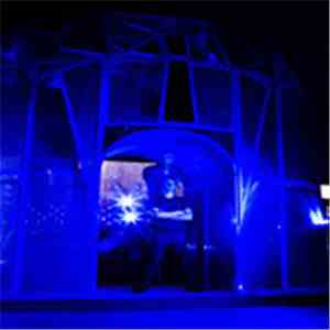 Digital Leather - Flowers From The Past Vol. 2