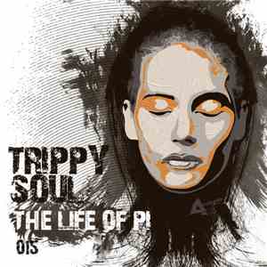 Trippy Soul - The Life Of Pi