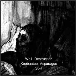 Wall Destruction / Koobaatoo Asparagus - Split