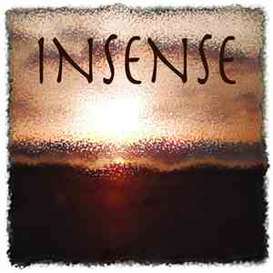 BySenSeS - InSense