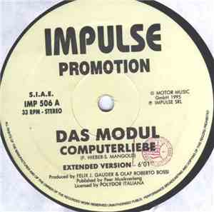 Das Modul - Computerliebe