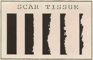Scar Tissue - Scar Tissue