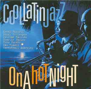 Various - Cool Latin Jazz On A Hot Night