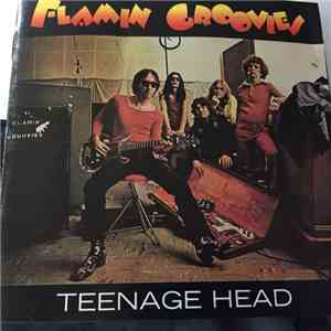 Flamin Groovies - Teenage Head