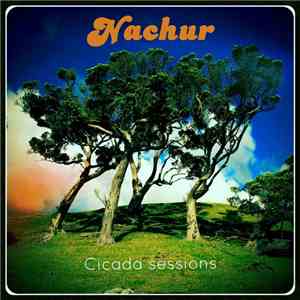 Nachur - Cicada Sessions