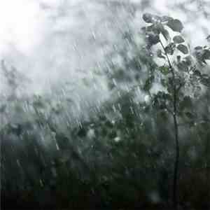 Autumn Nocturne - In The Rain