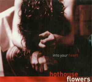 Hothouse Flowers - Into Your Heart