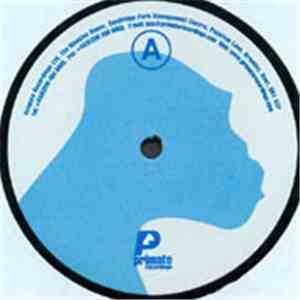 Pascal FEOS - Omychron EP