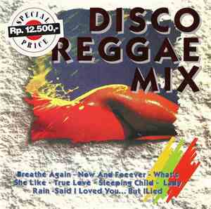 Unknown Artist - Disco Reggae Mix