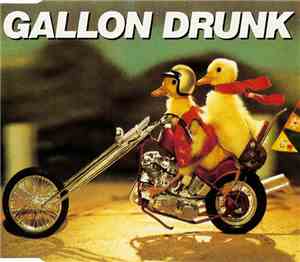 Gallon Drunk - Some Fools Mess