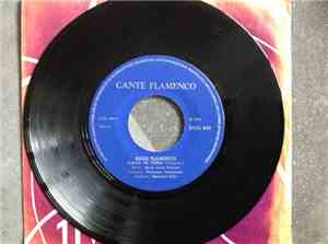 Cante Flamenco - Cante Flamenco