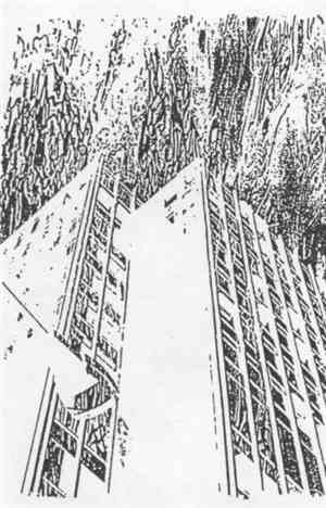 DsorDNE - Grafio Ricerca 002