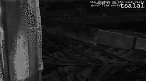 Tsalal - The Shadows On The Pale Walls Began To Curl About Like Smoke
