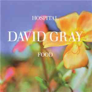 David Gray - Hospital Food