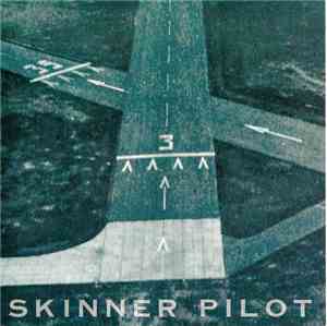 Skinner Pilot - New Sun