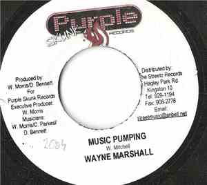 Wayne Marshall - Music Pumping