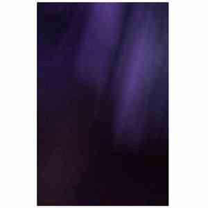 Cremation Lily - Fluids Of October