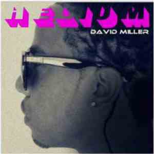 David Miller - Helium: Black Balloons Deux